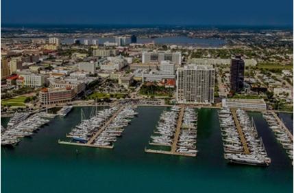 Palm Harbor Photo