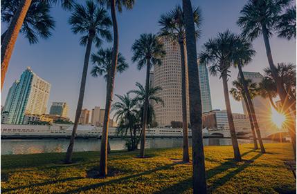 Tampa Photo